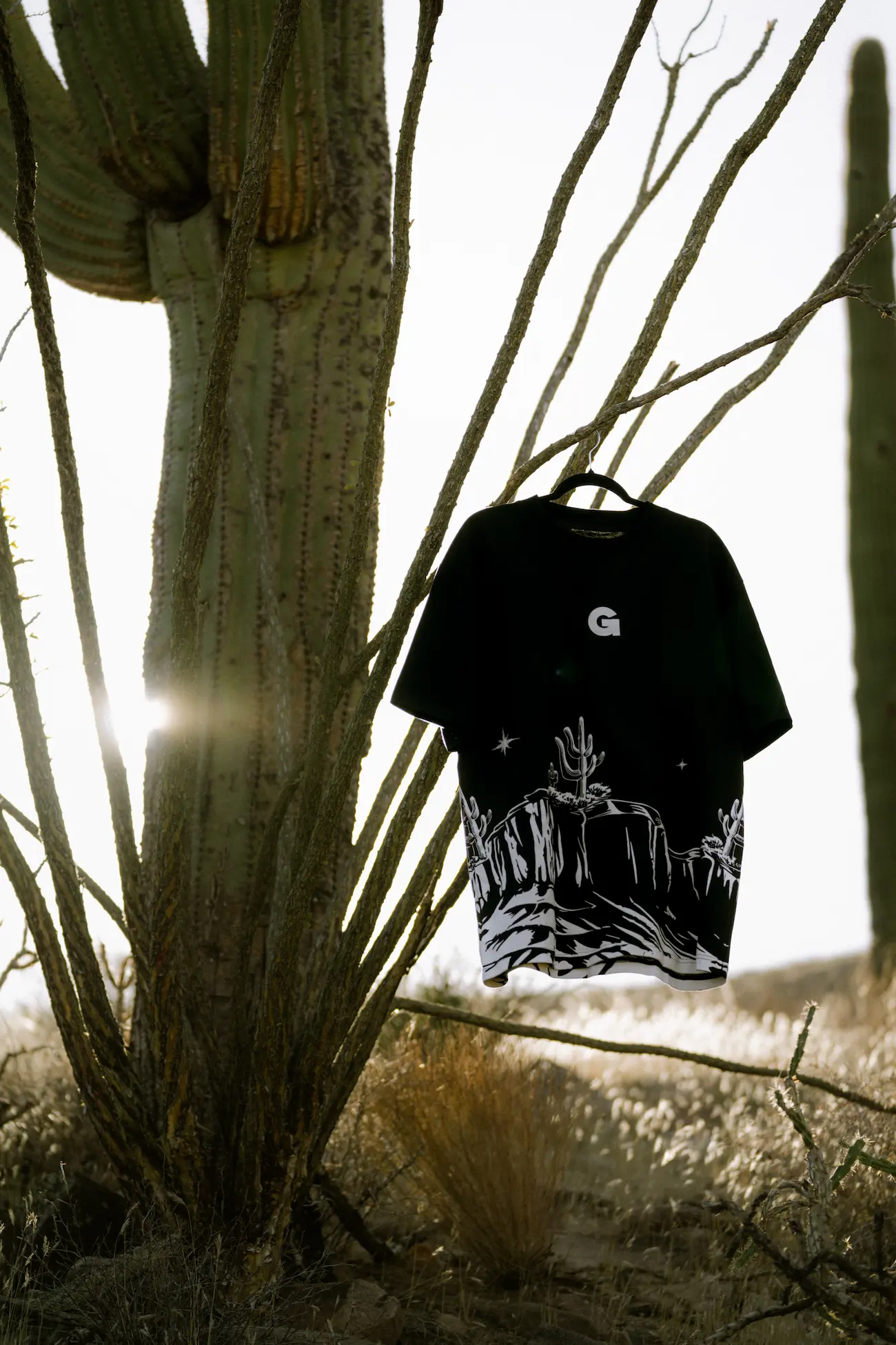 A black t-shirt with desert scenery print hanging on a cactus branch.