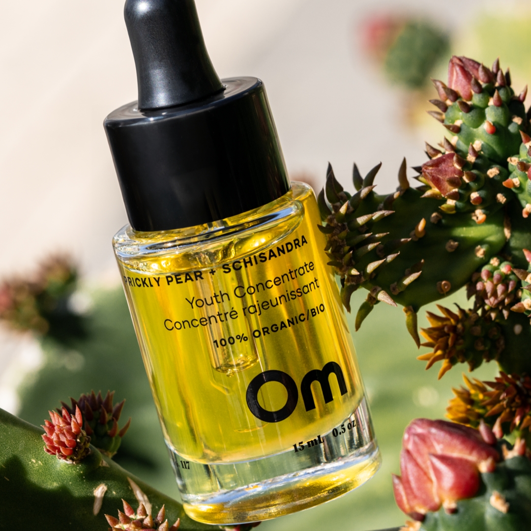 A bottle of yellow youth concentrate with a dropper, surrounded by cactus plants.