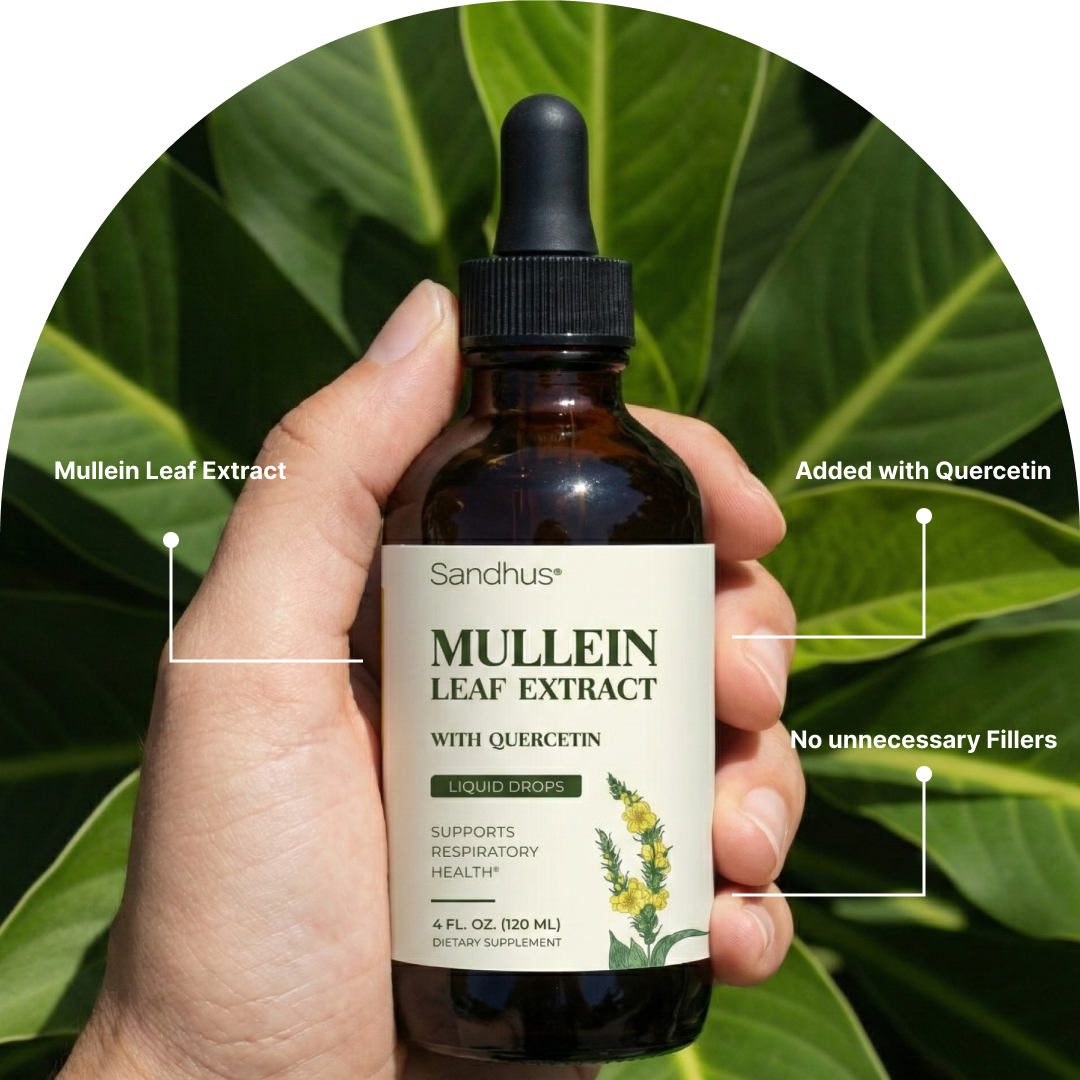 Hand holding bottle of Mullein Leaf Extract in front of green leaves.