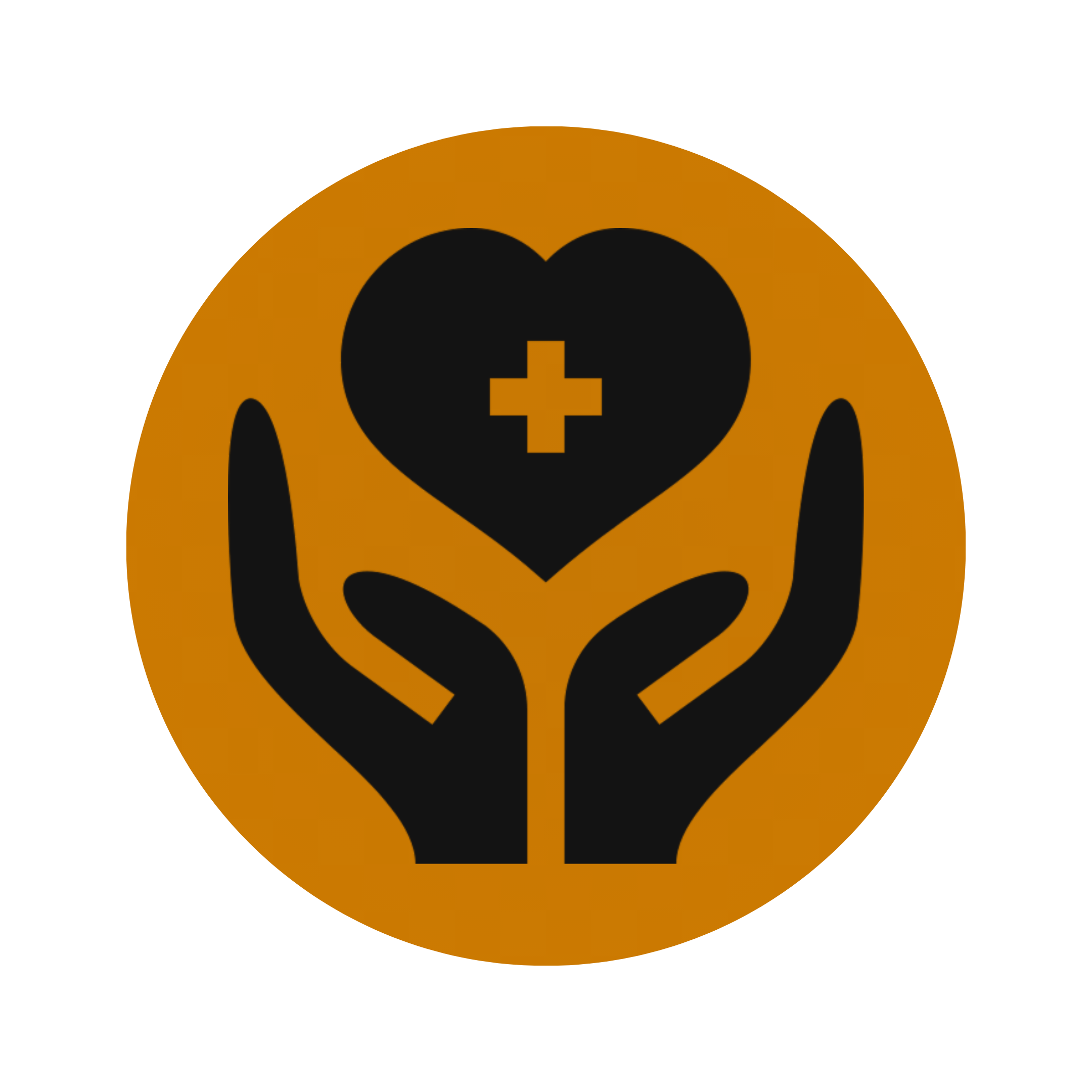 An icon of two hands holding a heart with a plus sign inside an orange circle.