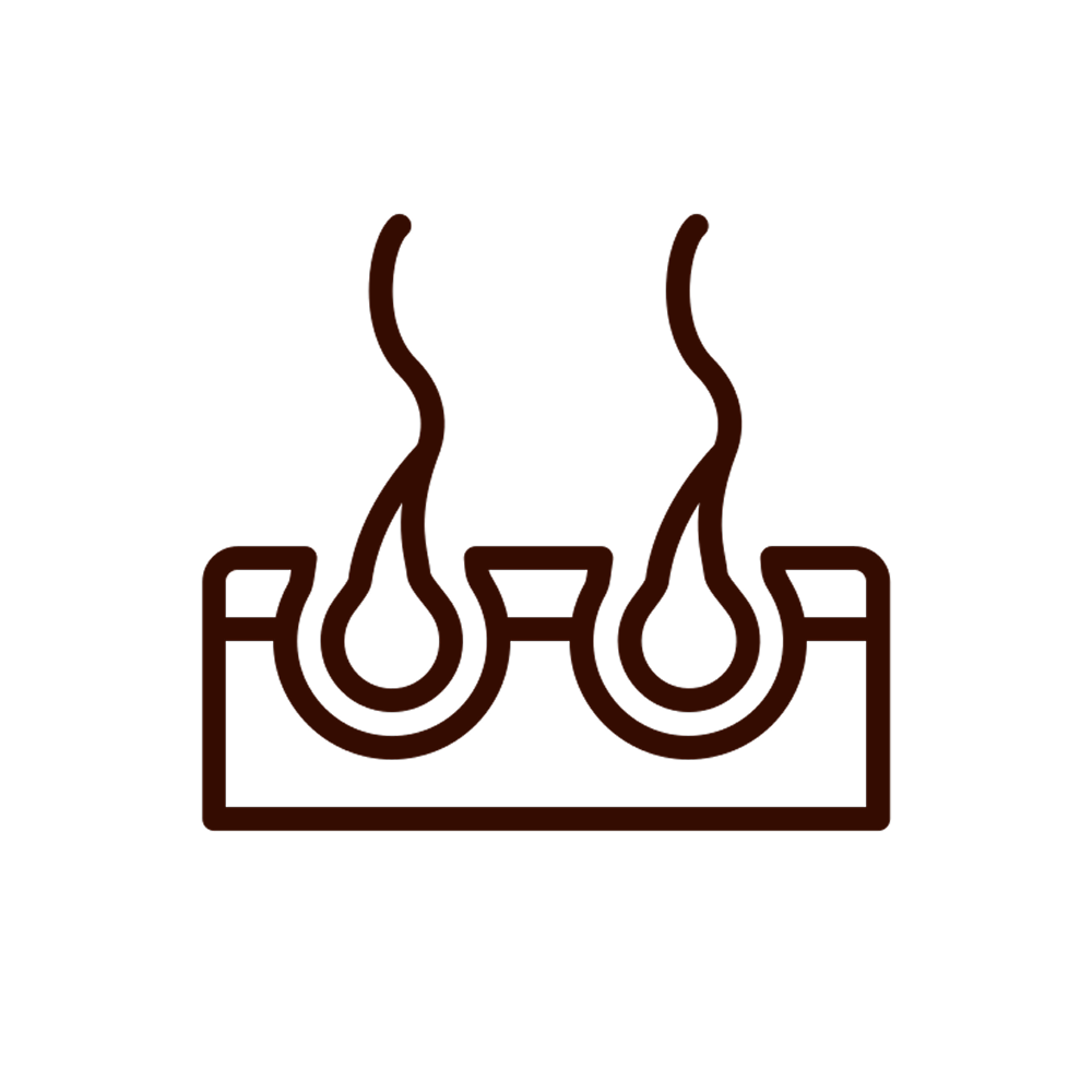 A line icon of a cross-section of skin with two wavy hairs growing from follicles.