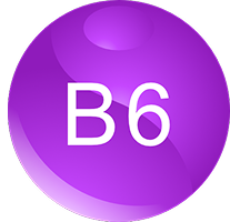 A glossy purple circular icon with the white text 'B6' inside.