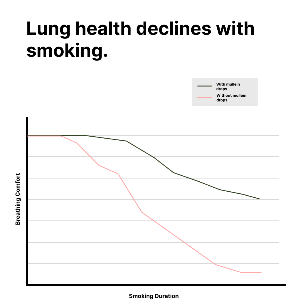 Line graph showing lung health decline with and without mullein drops.
