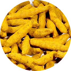 A close-up circular image of a pile of dried, whole turmeric roots.