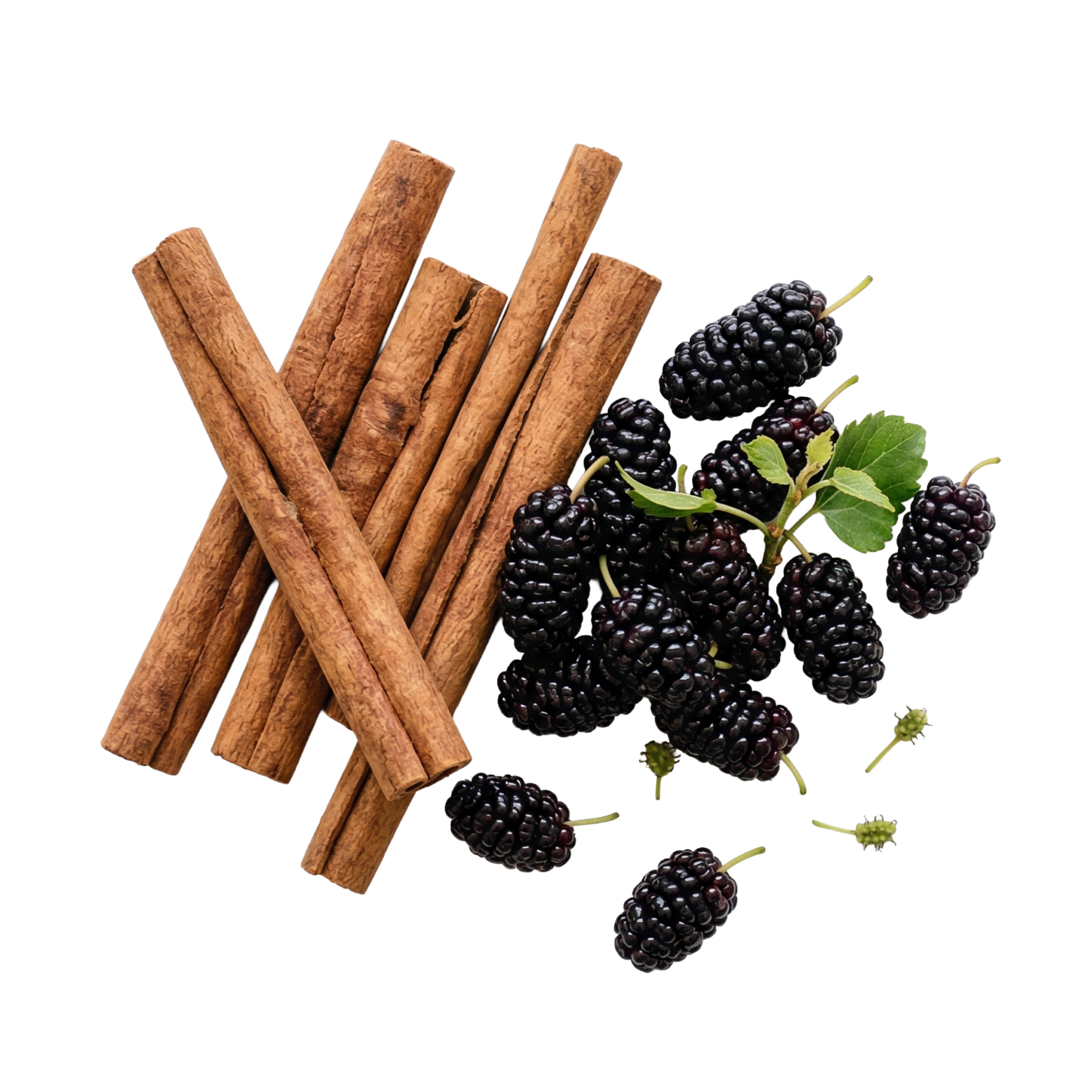 A pile of cinnamon sticks and fresh mulberries with a green leaf on a white background.