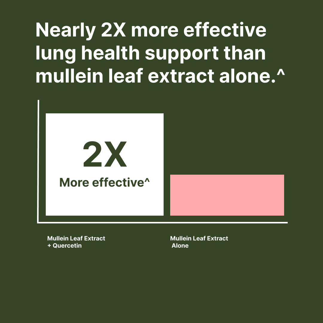 Bar graph comparing effectiveness of mullein leaf extract with and without quercetin.