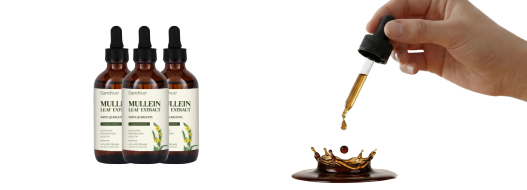 Three bottles of mullein extract, dropper with liquid splash.