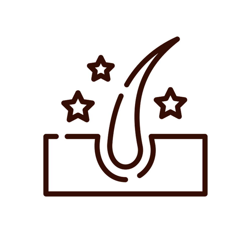 A line drawing icon of a hair follicle growing from the skin, surrounded by three stars.