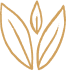 Stylized gold plant icon with three leaves.
