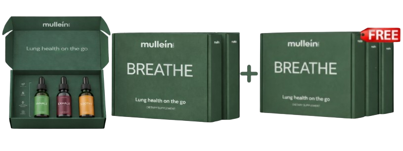 Promotional image for Mullein BREATHE dietary supplement showing boxes, dropper bottles, and a 'FREE' offer tag.