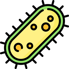 Illustration of a yellow microbe with a green outline and circular details.