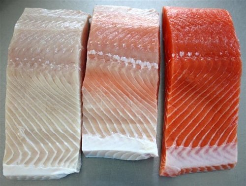 Three salmon fillets with varying shades of pink and orange on a flat surface.