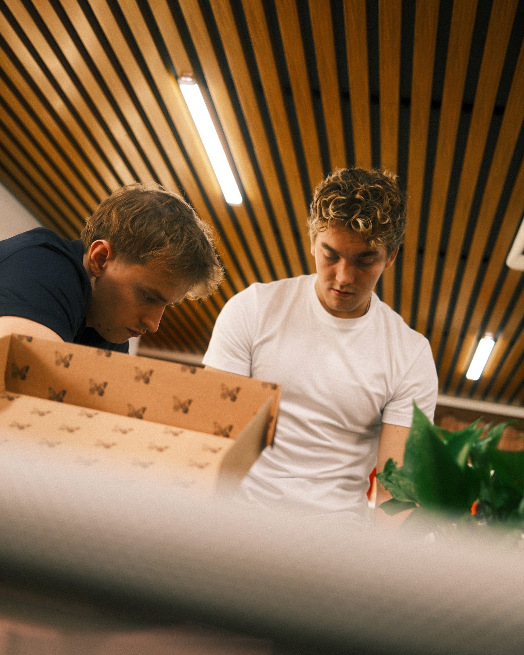 Two people looking into a cardboard box with butterfly patterns.