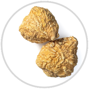 Two dried, wrinkled mushrooms on a white background.