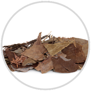 A pile of dried brown leaves on a white background.