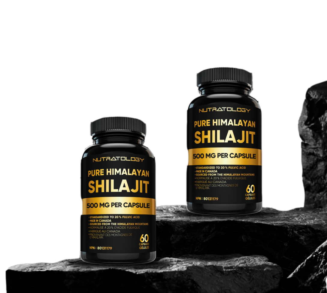 Two bottles of Pure Himalayan Shilajit capsules on a rocky surface.