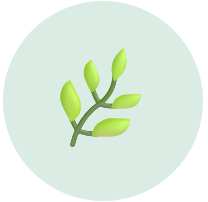 A stylized green plant sprig with several leaves inside a light green circle.