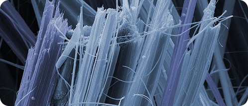 Close-up of blue and purple fibrous structures.