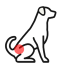 Hip Dysplasia icon