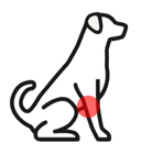 Injuries icon