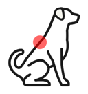 IVDD icon