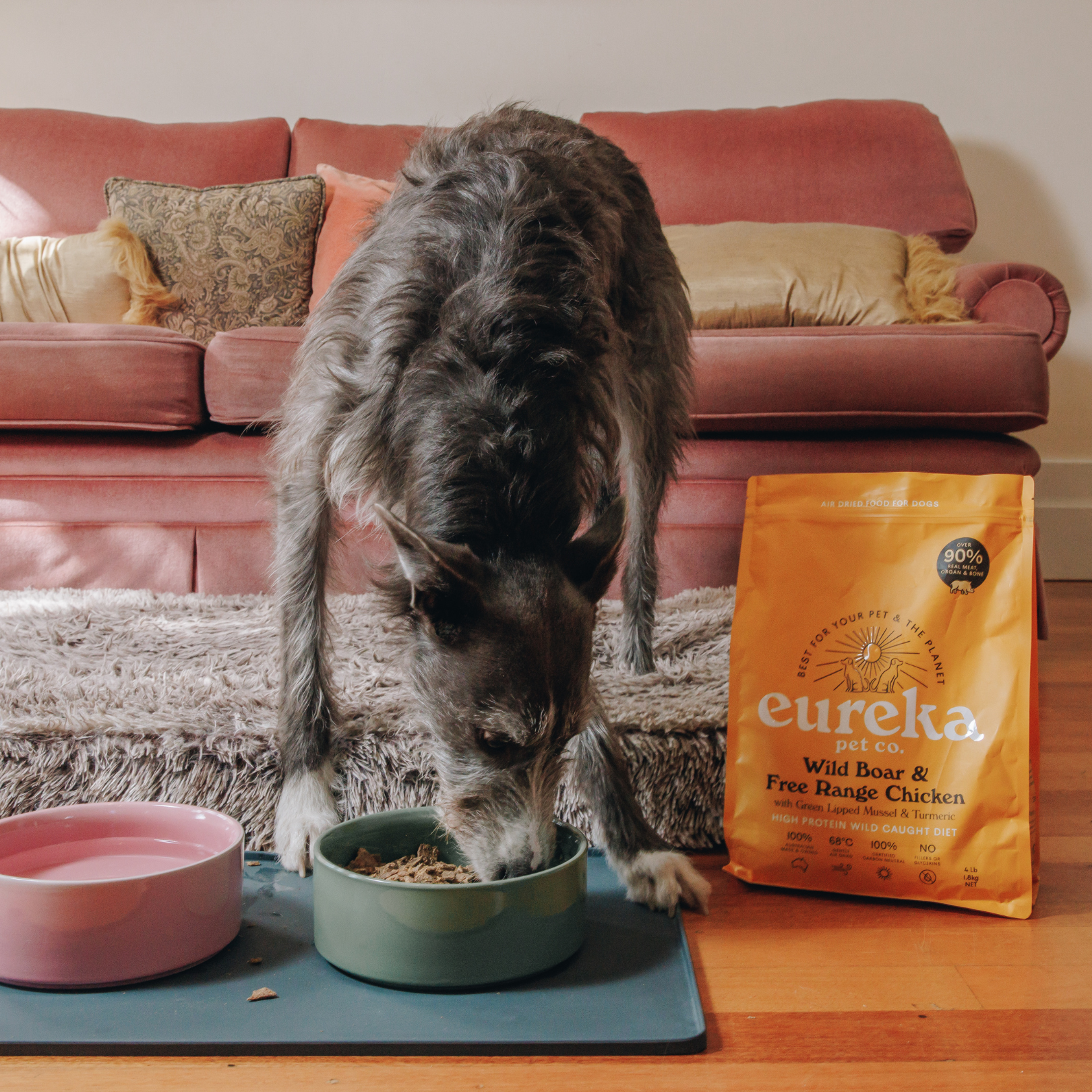 A scruffy grey dog eats from a bowl next to a bag of Eureka brand dog food.