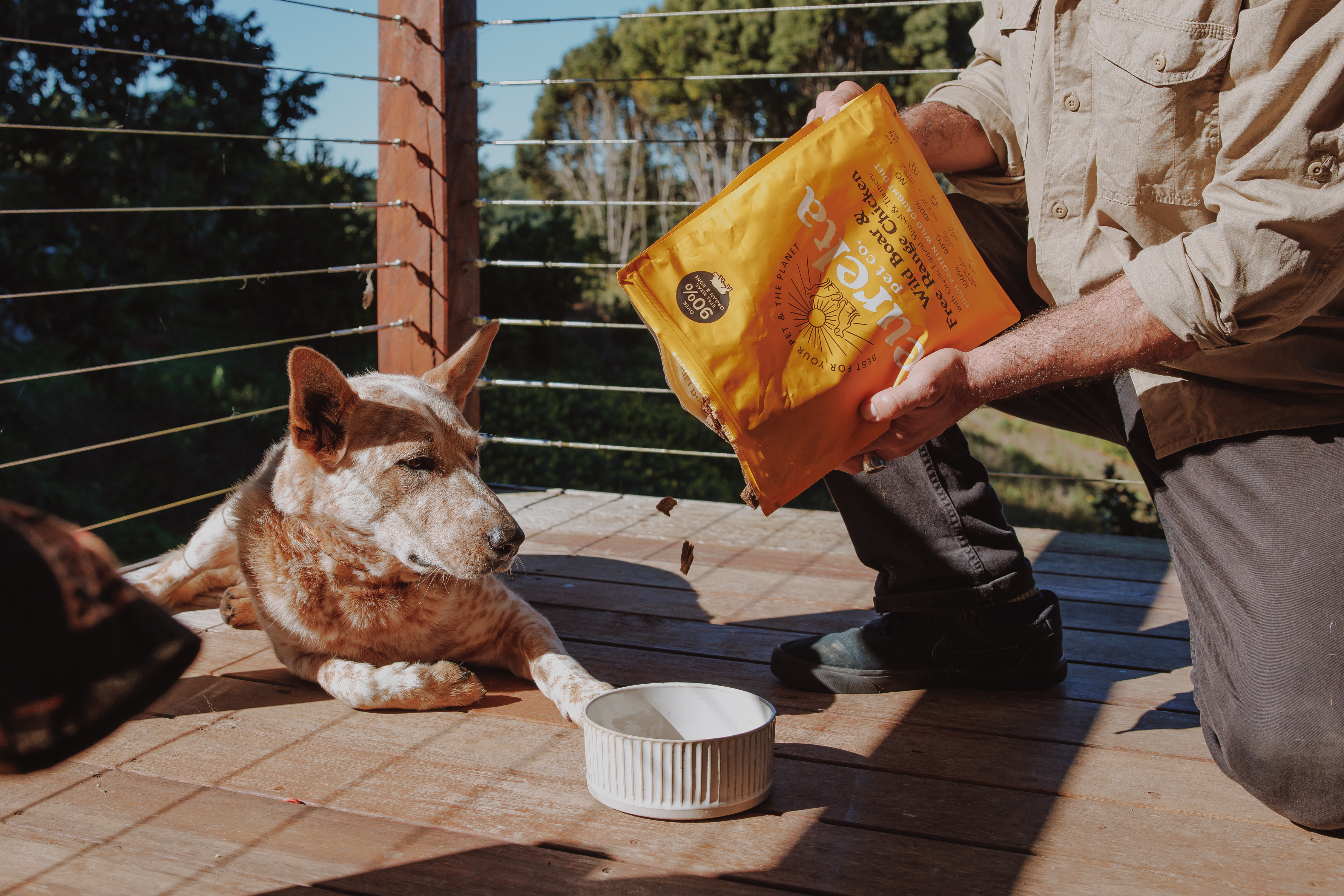 Australian Cattle Dog eagerly waiting on a sunny deck as owner pours Eureka Pet Co. Wild Boar & Free Range Chicken air-dried dog food into a bowl.