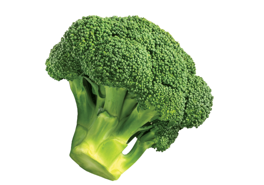 A single head of fresh broccoli isolated on a white background.
