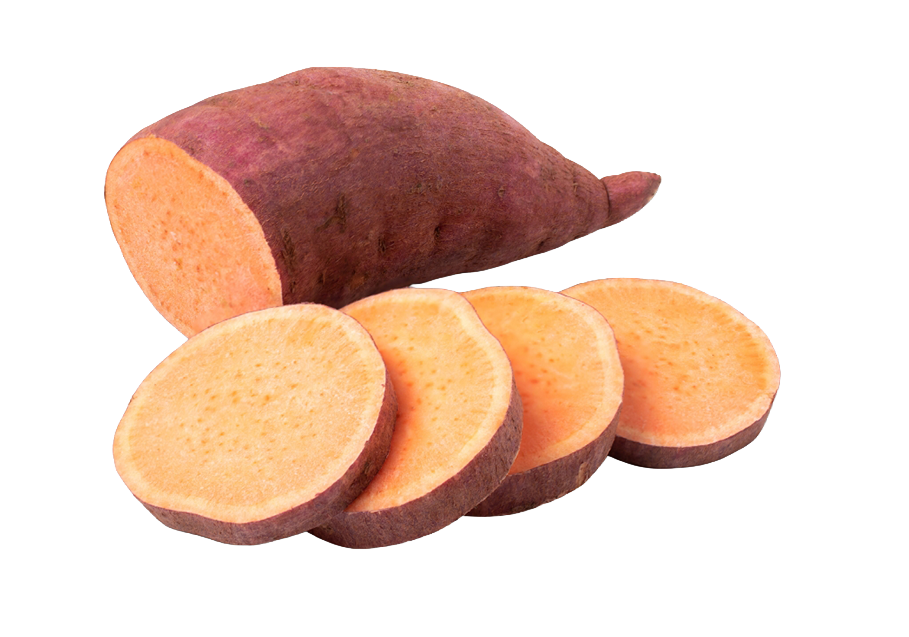A sweet potato, partially sliced into several round pieces, isolated on a white background.