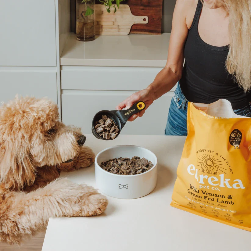 A person scoops dog food into a bowl as a fluffy, light-brown dog patiently watches.
