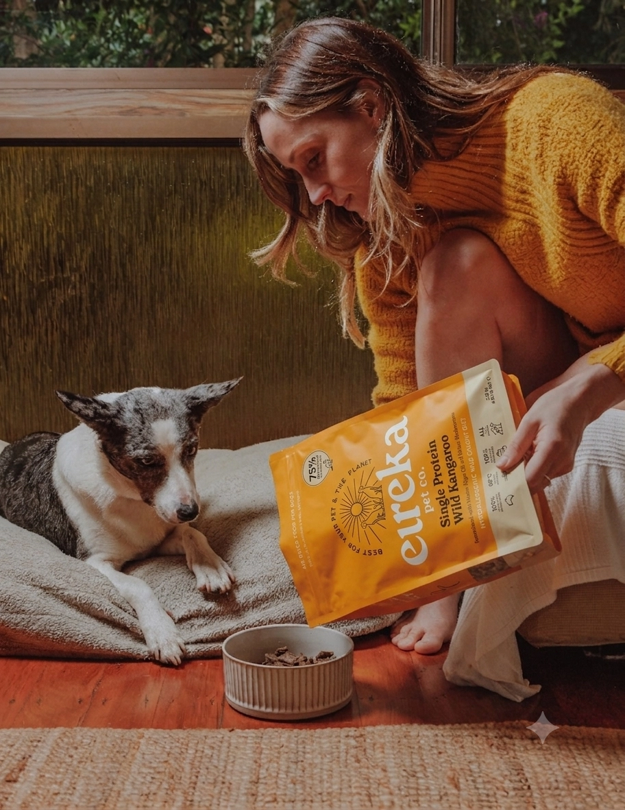 A woman in a yellow sweater pours food from a bag into a bowl for a dog.