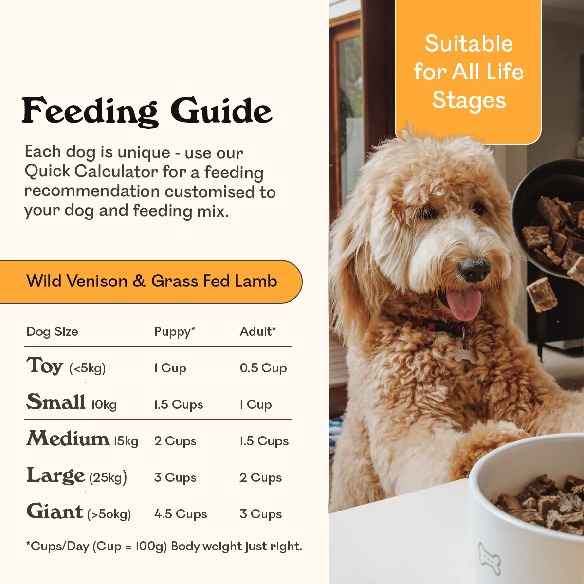 A dog food feeding guide displayed next to a goldendoodle dog waiting for food.