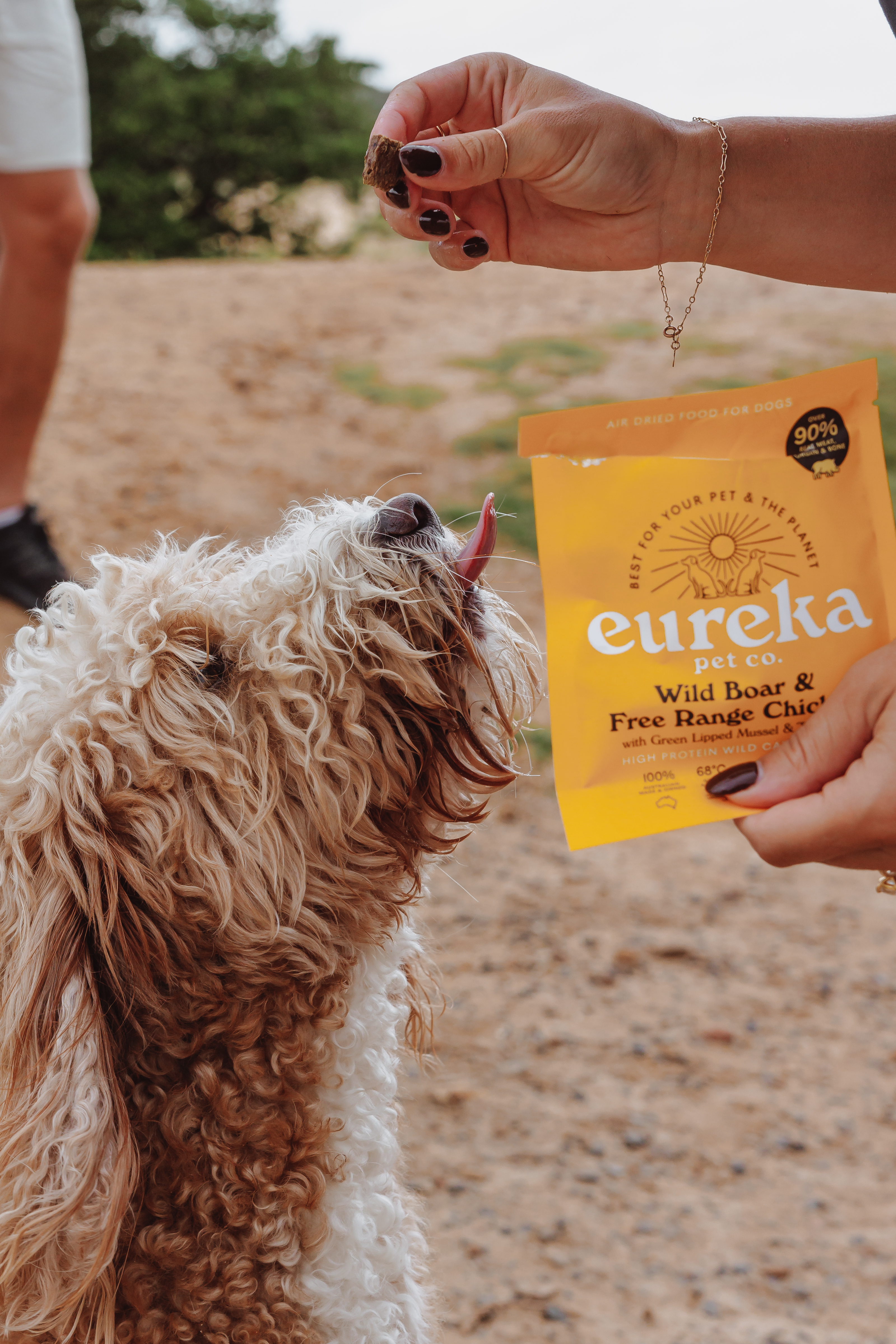 A person feeds a fluffy, curly-haired dog a treat from a yellow bag of Eureka pet food.