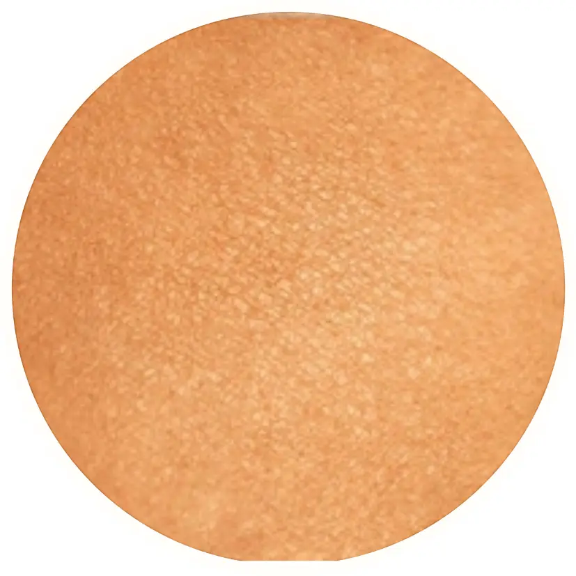 Close-up of a textured, circular, orange-brown surface.