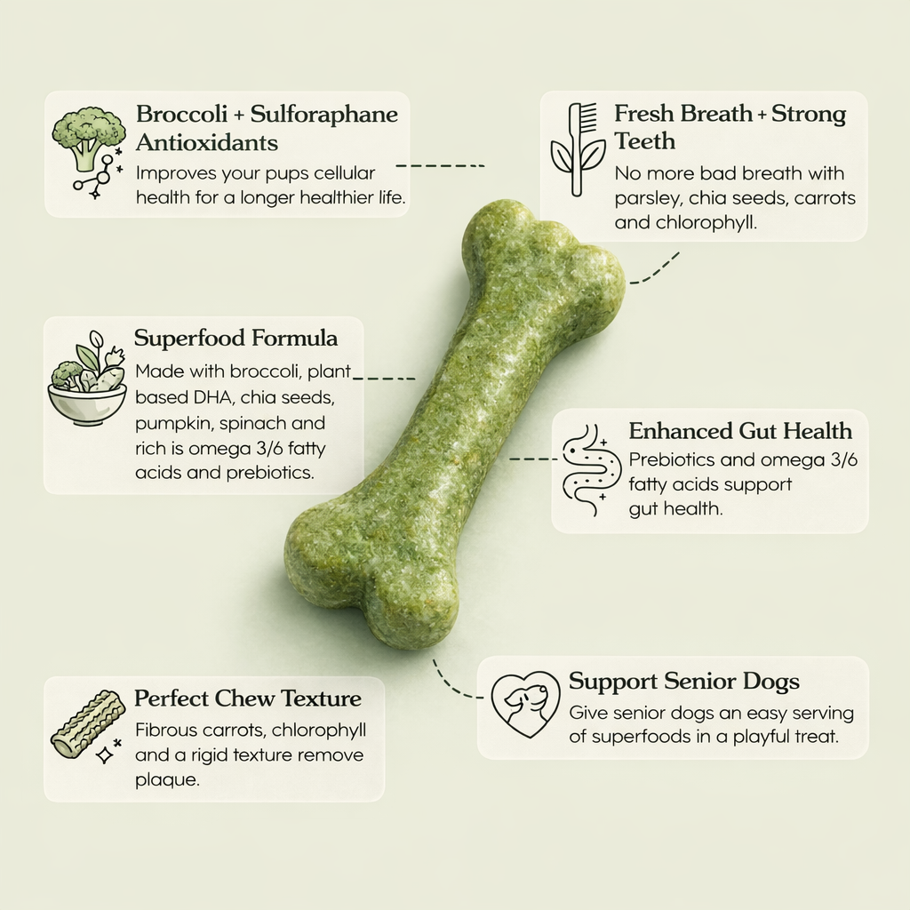 A green, bone-shaped dog chew with callouts describing its health benefits and ingredients.