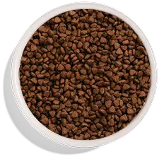 A top-down view of a white bowl filled with brown, triangular kibble.