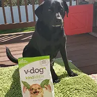 A black Labrador sits on a green rug behind a bag of v-dog kind kibble.