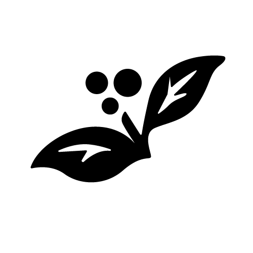 Black silhouette of two leaves with three berries.