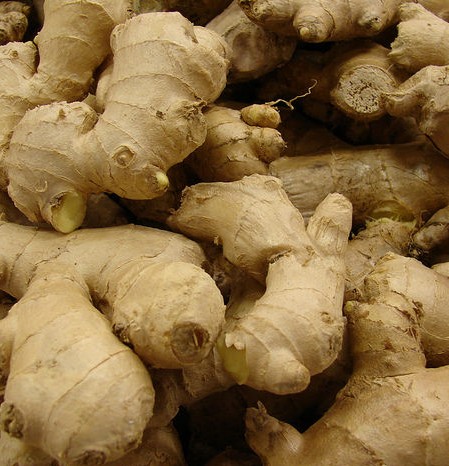 A close-up photograph of a large pile of fresh ginger roots.