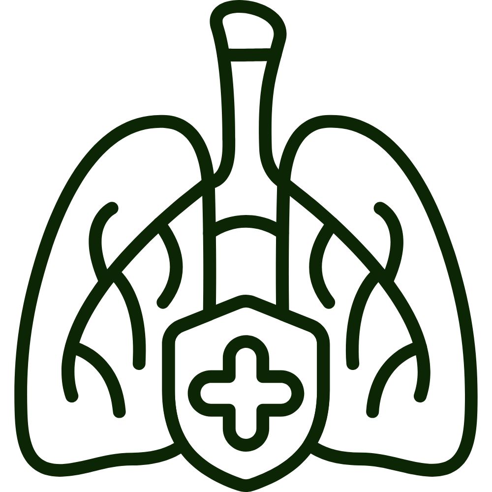 Illustration of lungs with a medical cross symbol in front.