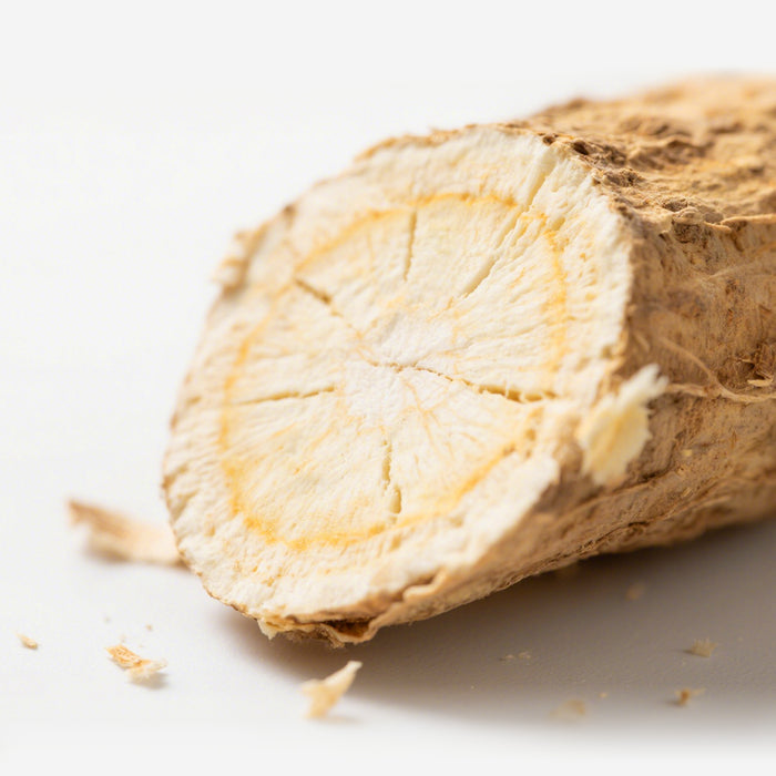 Close-up of a dried root sliced, showing fibrous texture.