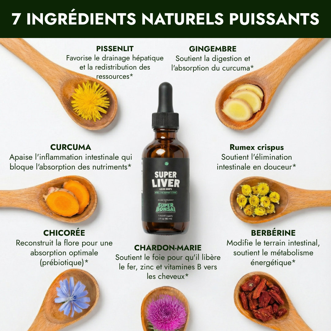 A bottle of Super Liver supplement surrounded by seven spoons holding its various natural ingredients with French text.