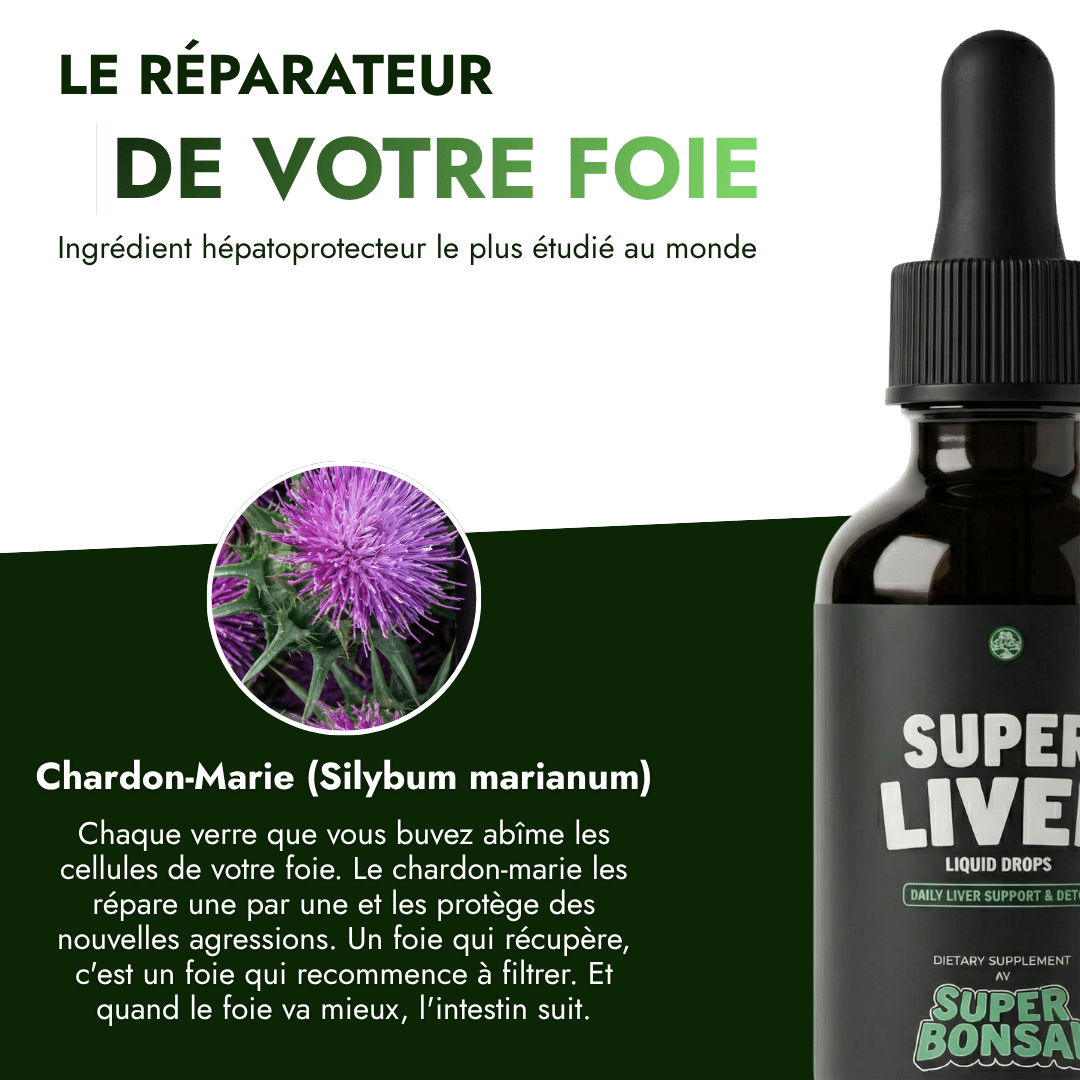 A promotional image for a liver supplement showing a bottle and a milk thistle flower.