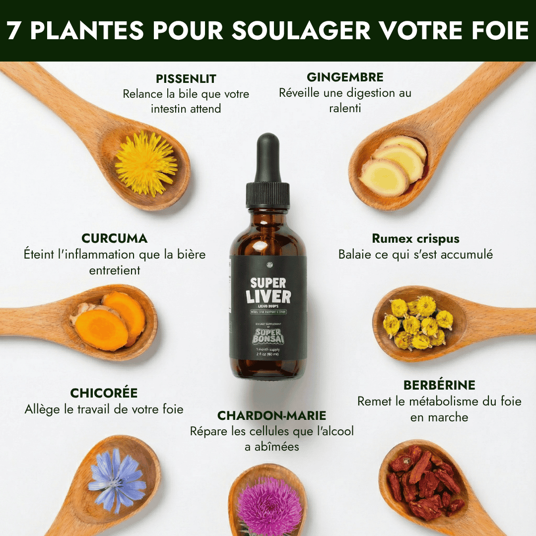 A bottle of Super Liver supplement surrounded by seven spoons holding various herbs and flowers.