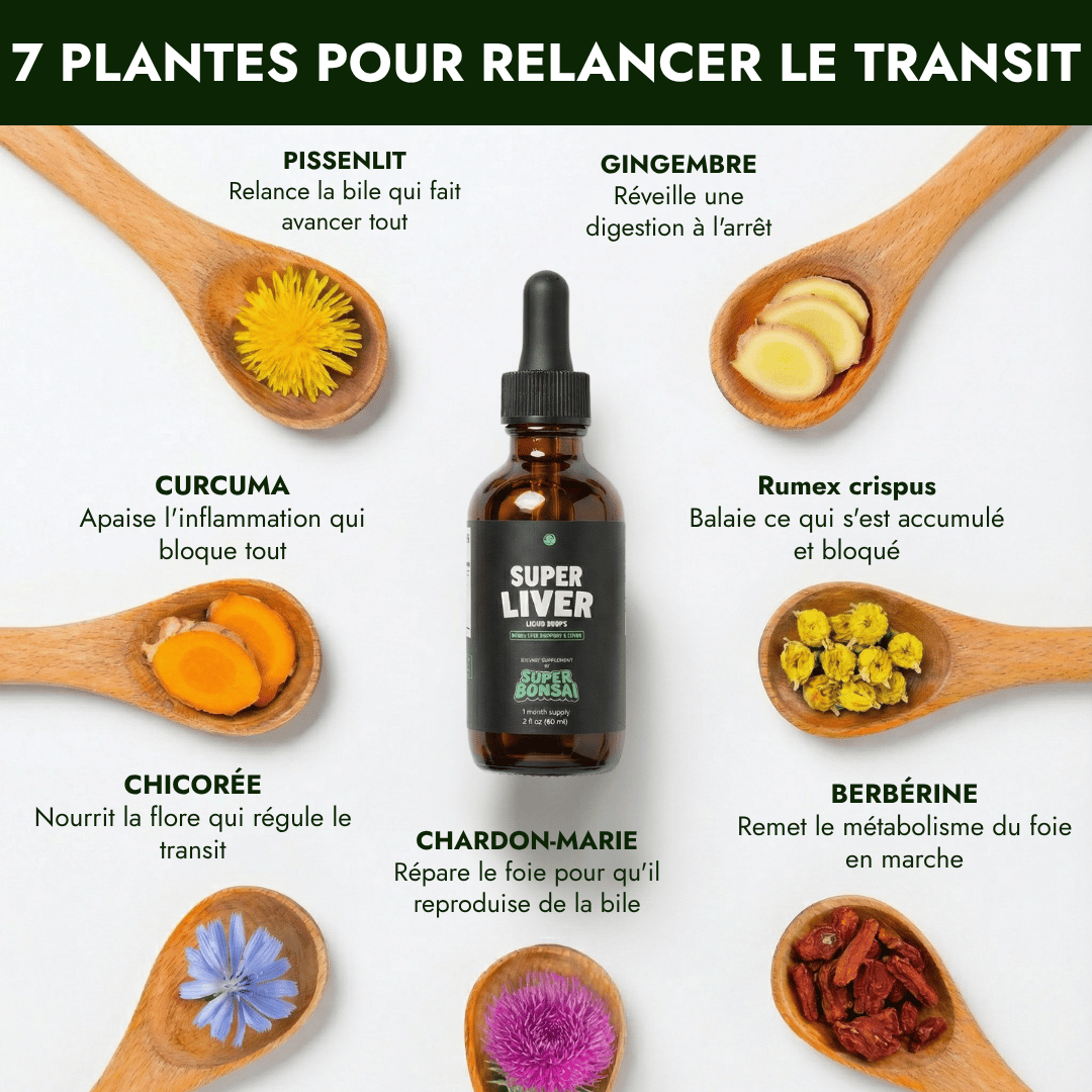 A bottle of 'Super Liver' supplement surrounded by seven wooden spoons holding various herbs and flowers.