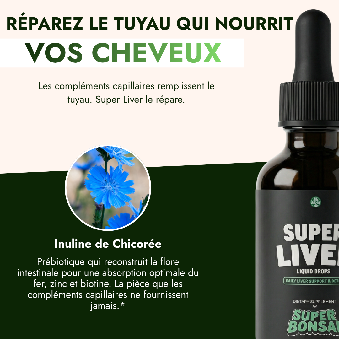 An advertisement in French for Super Liver liquid drops, featuring a bottle of the product and a chicory flower.