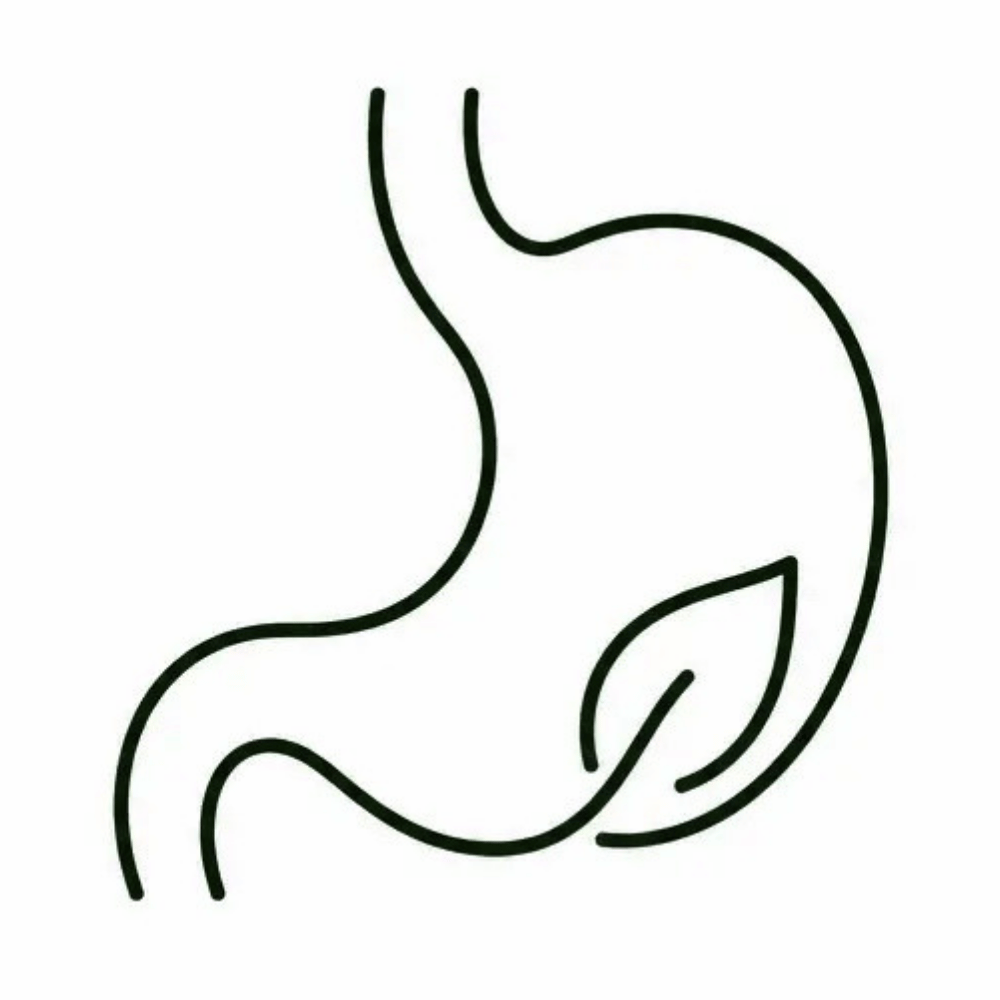A line drawing icon of a human stomach with a small leaf inside it.