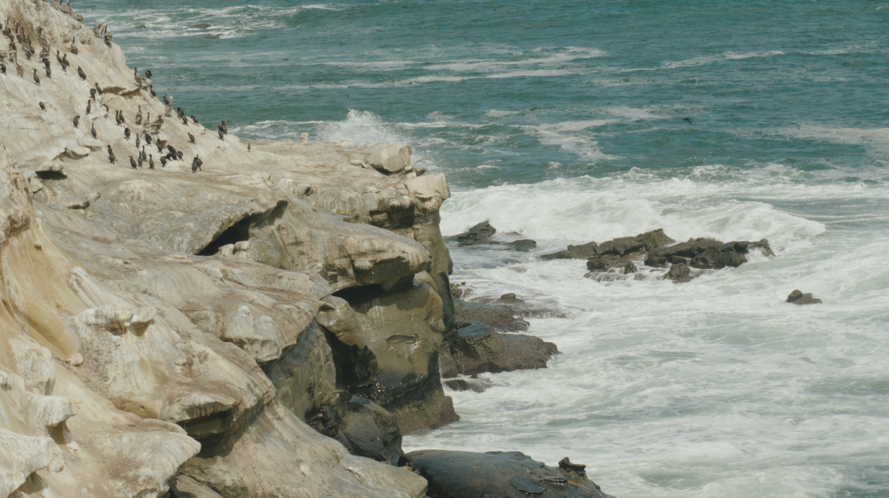 A flock of dark birds stands on a light-colored rocky cliff as waves crash in the ocean.