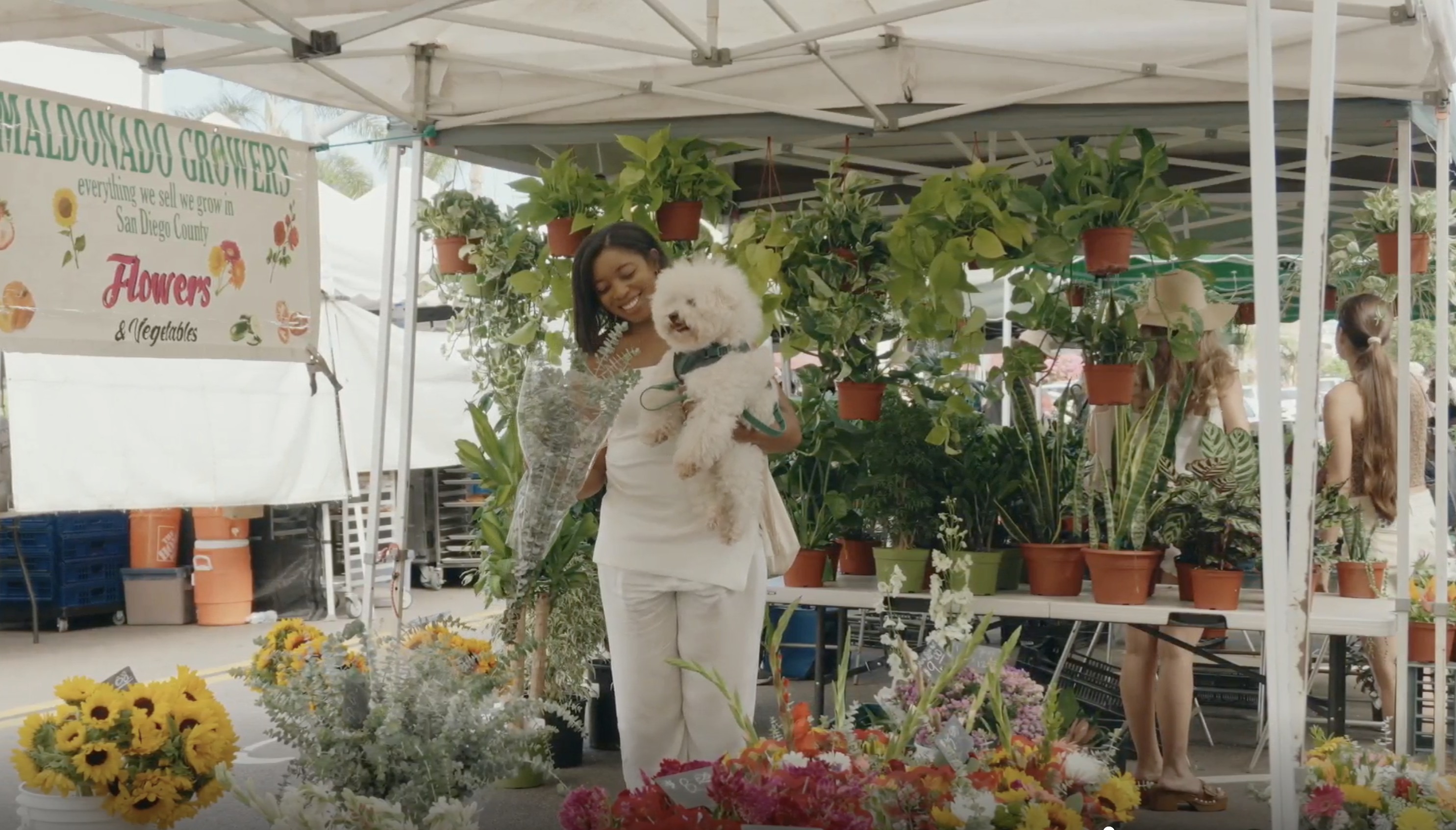 A woman holds a small, white, fluffy dog while shopping at an outdoor flower and plant market.