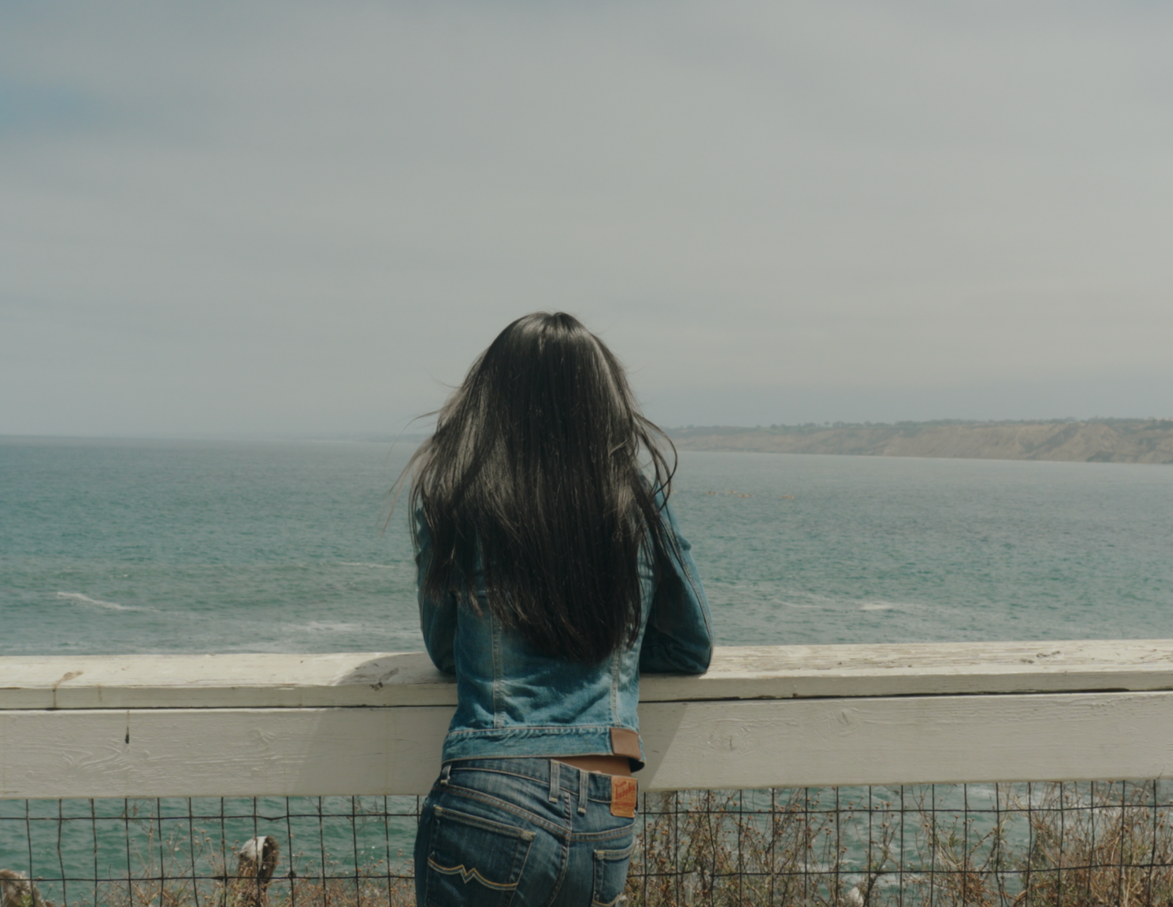 A person with long dark hair, seen from behind, leans on a railing looking at the ocean.